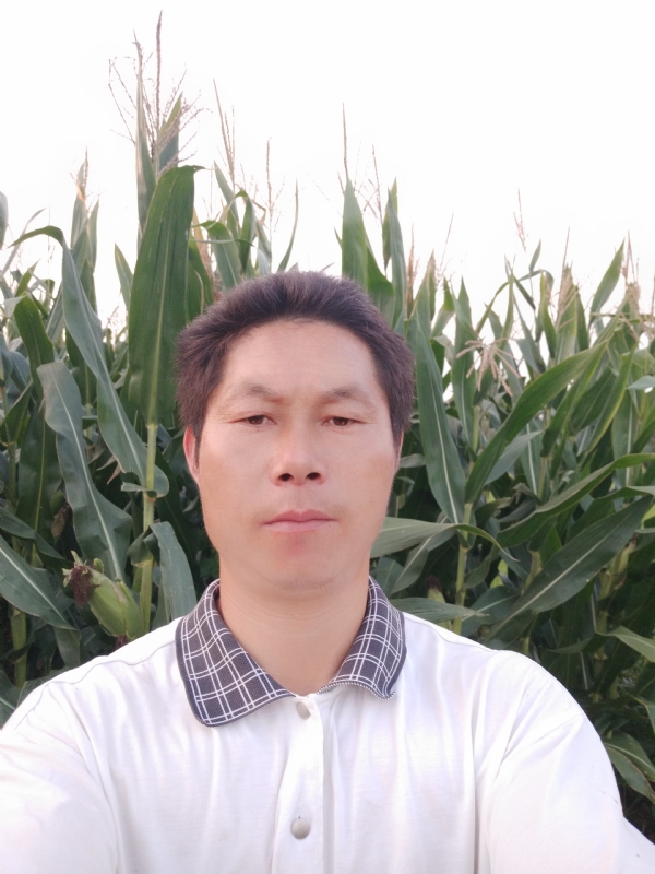 四海游龙的第一张照片--德化交友网