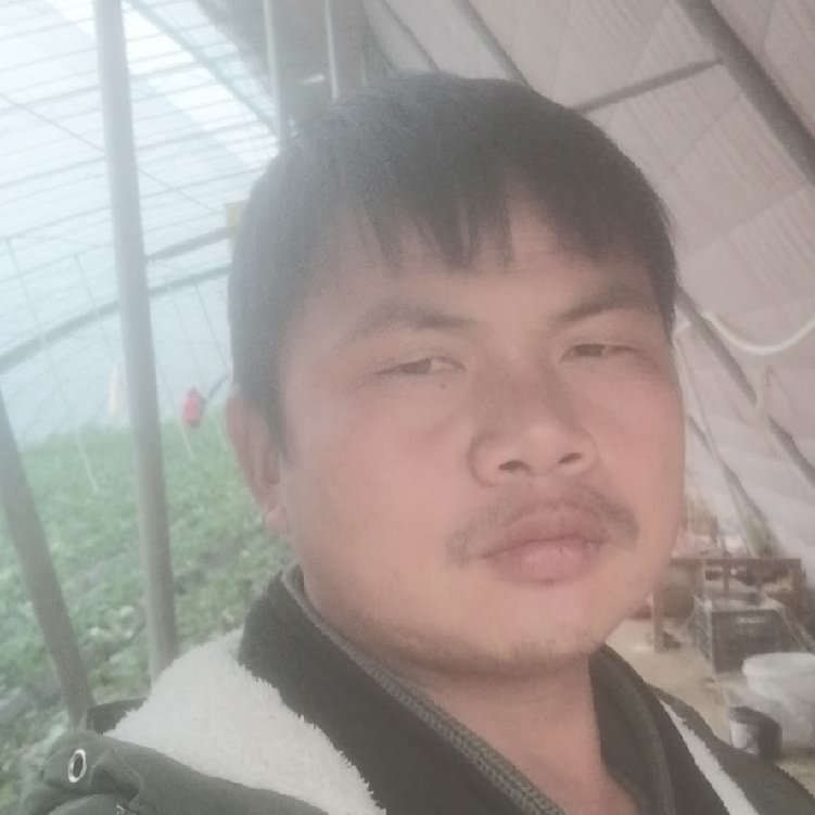 孤狼‘的第一张照片--德化交友网