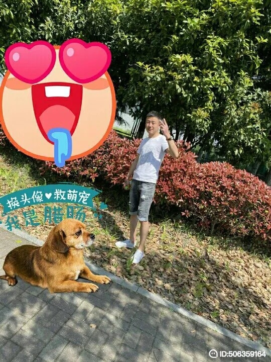 我若不坚强谁替我勇敢的第一张照片--德化交友网