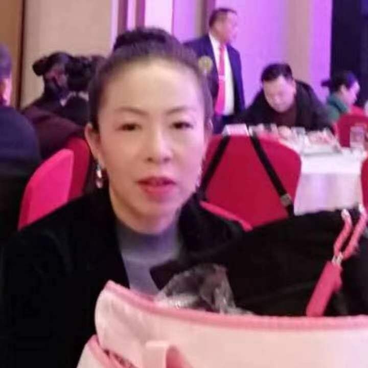 中秋桂花玉兔的第四张照片--德化交友网